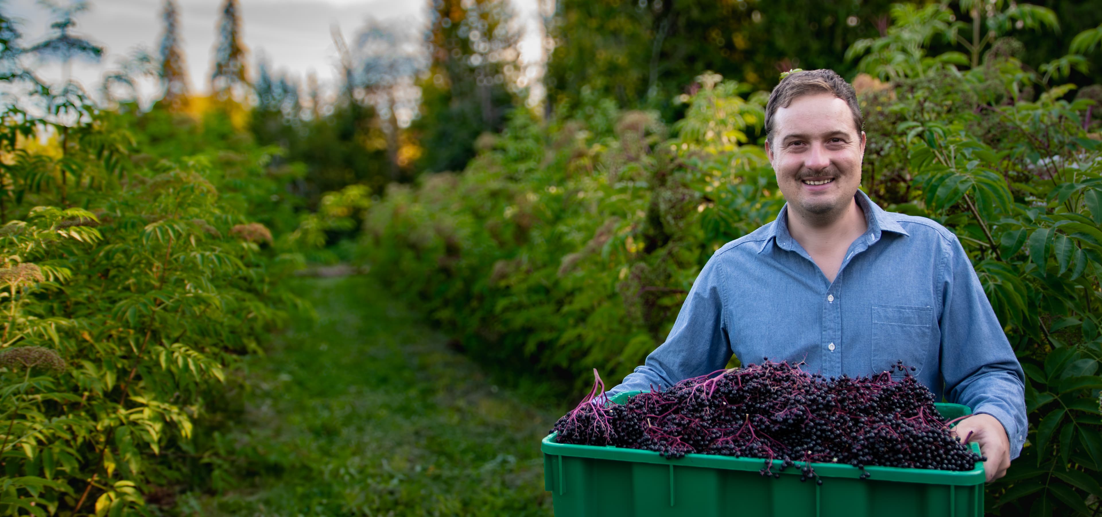 Jed holding elderberries at Elderberry Grove