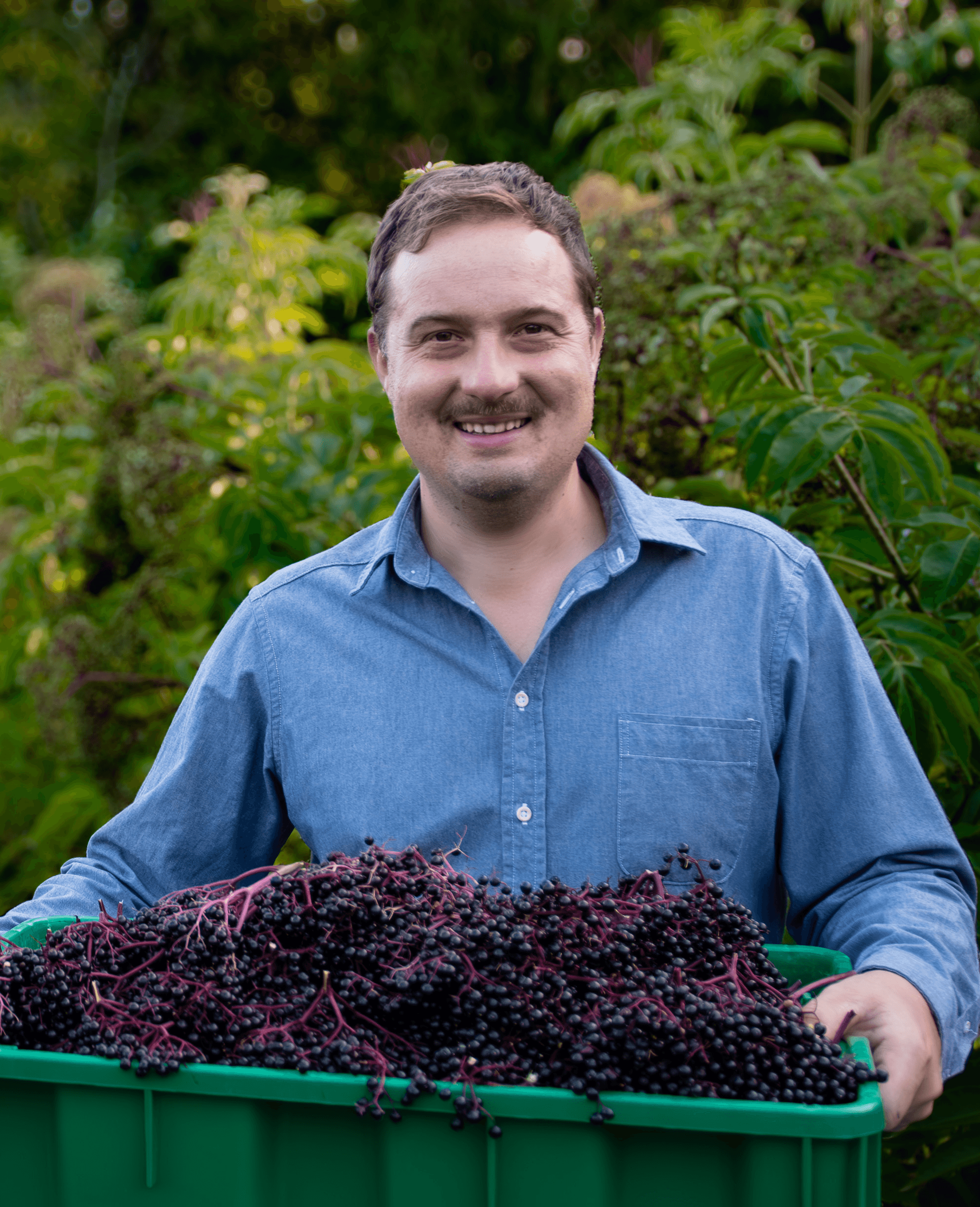 Jed holding elderberries at Elderberry Grove